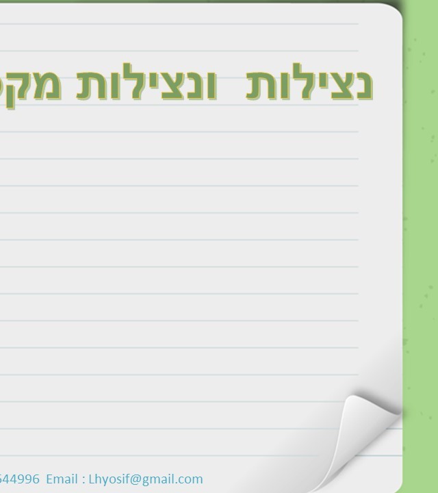 עמוד 13 אחורי